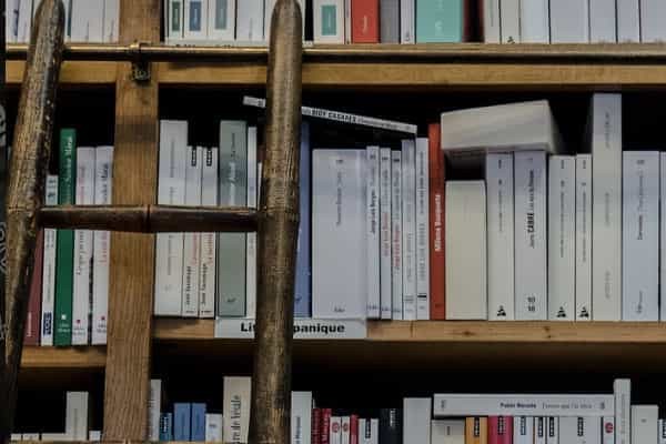 2025上海师范大学在海南招生计划及学费 含公费师范生、专项计划和特殊招生