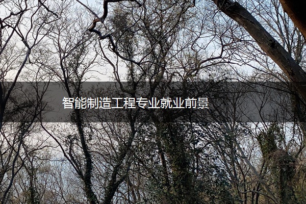 智能制造工程专业就业前景