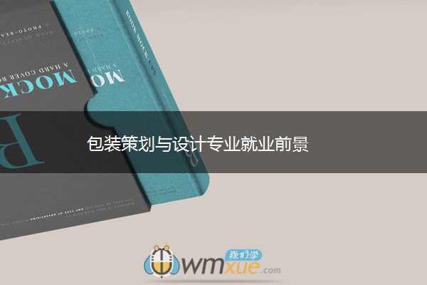 包装策划与设计专业就业前景