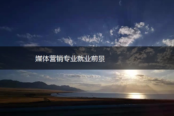 媒体营销专业就业前景