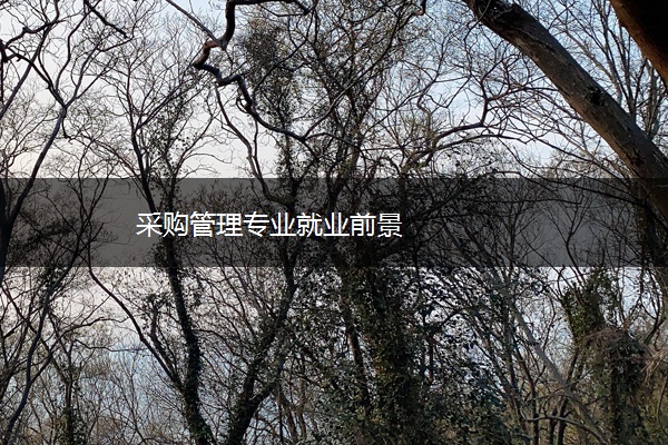 采购管理专业就业前景