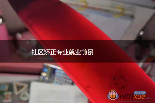 社区矫正专业就业前景