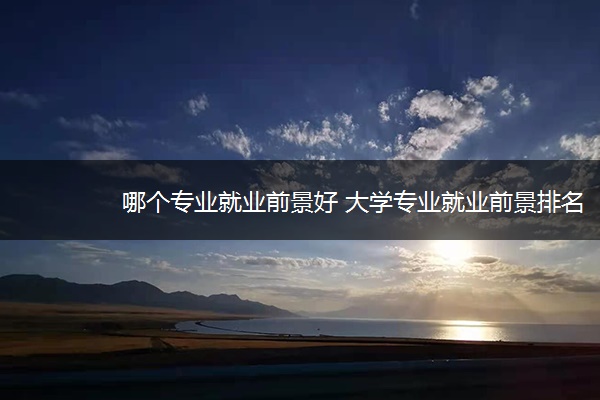 哪个专业就业前景好 大学专业就业前景排名
