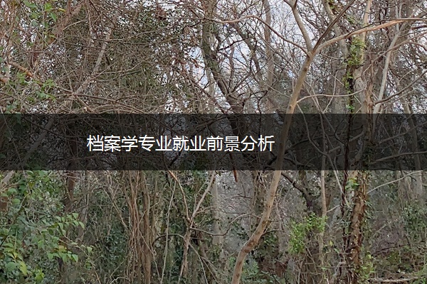 档案学专业就业前景分析
