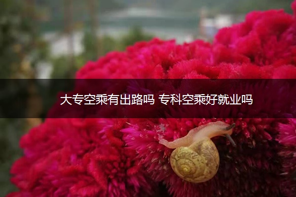 大专空乘有出路吗 专科空乘好就业吗