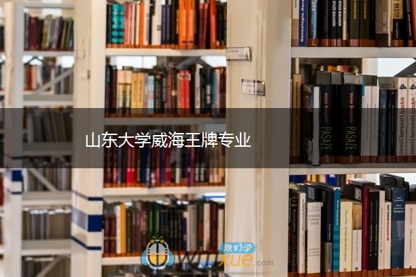 山东大学威海王牌专业