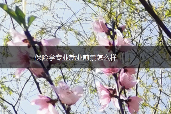 保险学专业就业前景怎么样