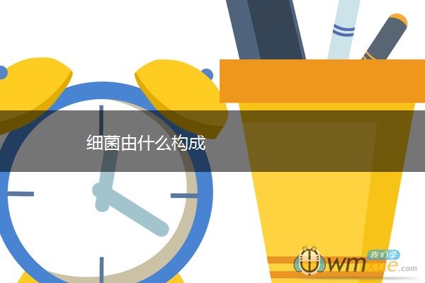 细菌由什么构成