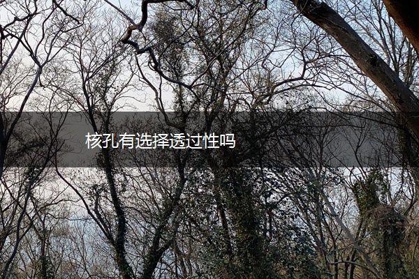 核孔有选择透过性吗