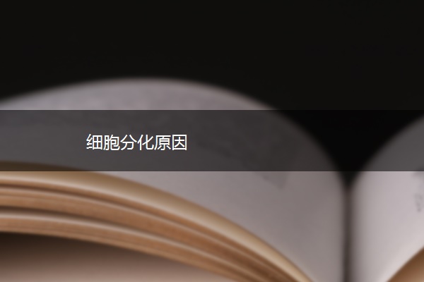 细胞分化原因