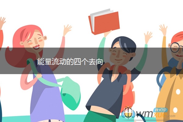 能量流动的四个去向