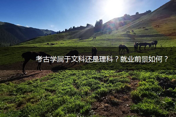 考古学属于文科还是理科？就业前景如何？