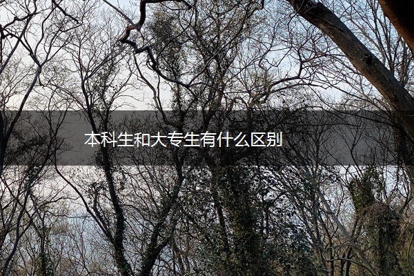 本科生和大专生有什么区别