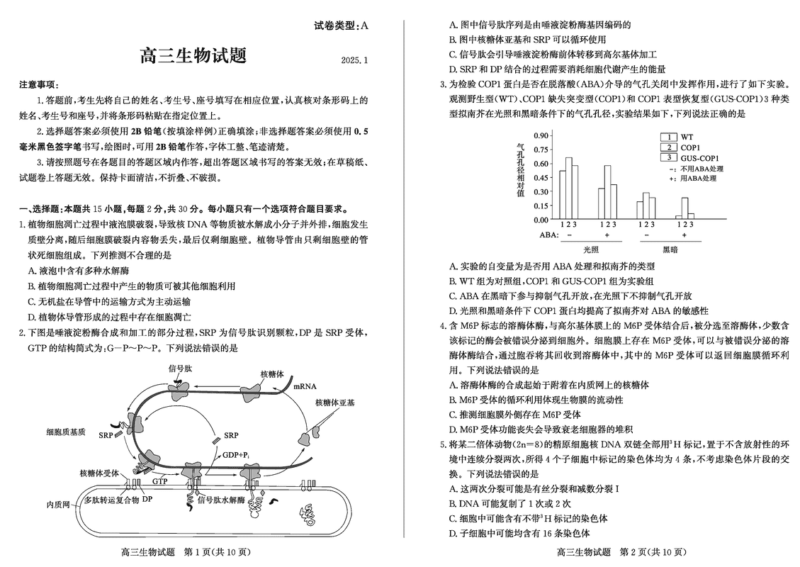 山东滨州2025年高三上学期1月期末生物试题及答案