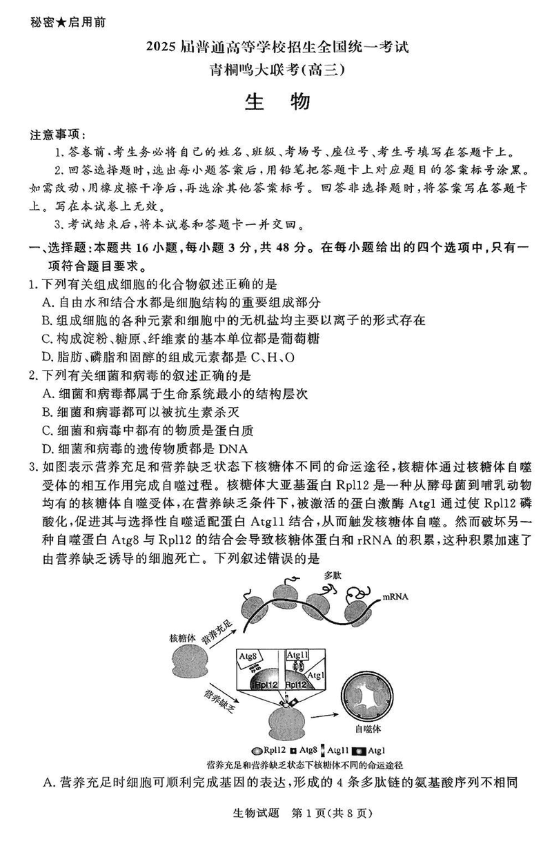 2025届高三下学期5月青桐鸣大联考生物试题及答案
