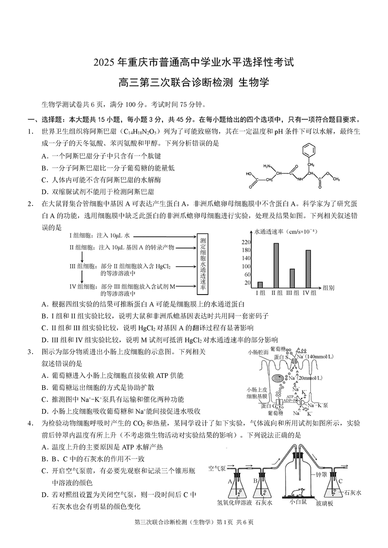 重庆康德三诊2025年高三第三次联合检测生物试题及答案