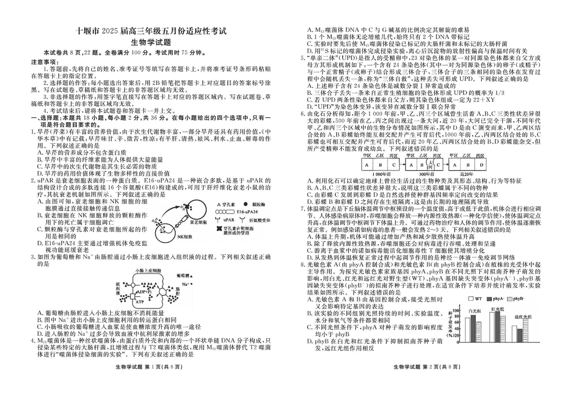 十堰市2025届高三下学期五月份适应性生物试题及答案